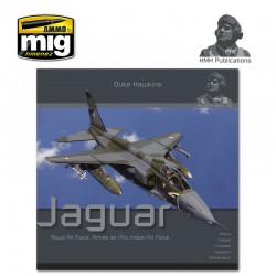 Aircraft in Detail: The Sepecat Jaguar.