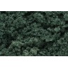 Foliage clusters dark green. WOODLAND FC59