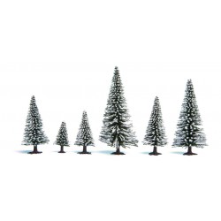 Snow fir trees.