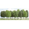 12 deciduous trees. BUSCH 6486