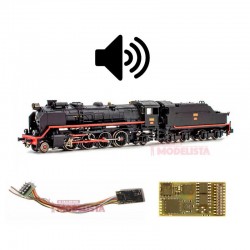 Decoder con sonido para las Mikado RENFE, 21 pins.