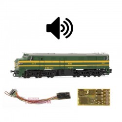 Decoder con sonido para las 316 RENFE, 21 pins. D&H