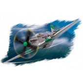 P-51 D Mustang. HOBBY BOSS 80230