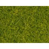 Scatter grass "meadow".