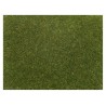 Scatter grass "light green".