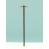 Electric wood pole. RB 2807