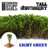 Tall shrubbery, light green.