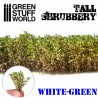 Tall shrubbery, green white.