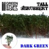 Tall shrubbery, dark green.