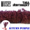 Tall shrubbery, autumn purple.