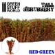 Tall shrubbery, Red green.