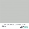 Lichtgrau-Light Grey (RAL 7035), 10ml. Real Colors.