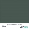 Dull Dark Green (FS 34092), 10ml. Real Colors.