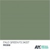 Pale Green (FS 34227), 10ml. Real Colors.