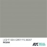 Gris mar claro (FS 36307), 10ml. Real Colors.