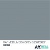 RAF Medium Sea Grey (BS381C/637), 10ml. Real Colors.