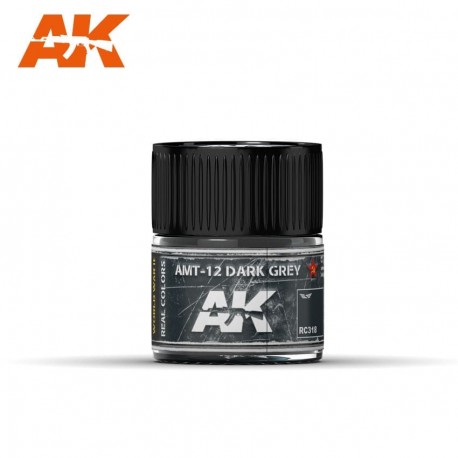 AMT-12 Dark Grey, 10ml. Real Colors.