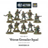 Veteran Grenadiers Squad. Bolt Action.