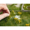 Groundcover Foliage, meadow white.