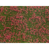 Groundcover Foliage, meadow red.