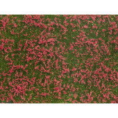 Groundcover Foliage, meadow red.