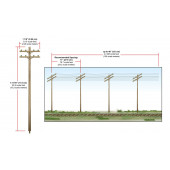 Postes de electricidad dobles.