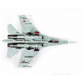 Su-27SM.