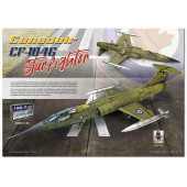 The Weathering Magazine Aircraft: Un color.