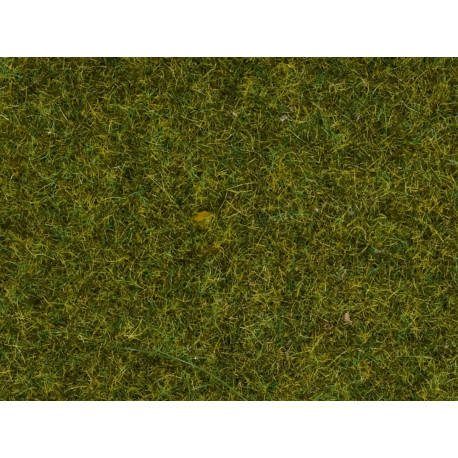 Wild Grass XL, medium green.