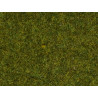 Wild Grass XL, medium green.