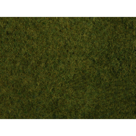 Wild grass foliage, olive green.