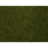 Wild grass foliage, olive green.