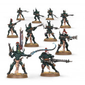 Drukhari Kabalite Warriors.