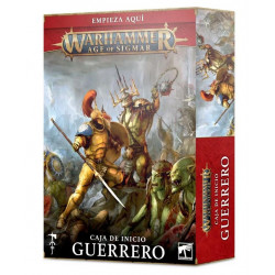 Warhammer Age of Sigmar Warrior Starter Set.