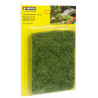 PROFI bushes, medium green.