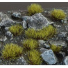 Grass tufts. Swamp (4mm).