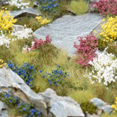 Grass tufts. Wild Flowers Set.