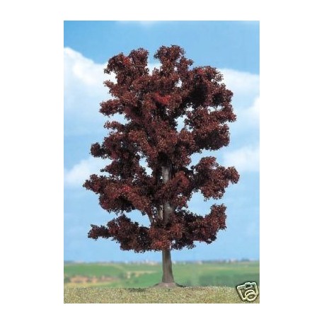 Red beech. BUSCH 6968