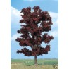 Red beech. BUSCH 6968