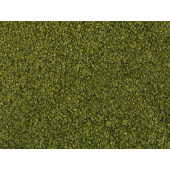 Wild grass foliage, medium green.