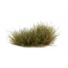 Grass tufts. Mixed green wild (6 mm).