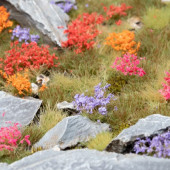 Set de flores de jardín salvaje.