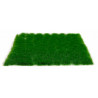 Dark green tufts 4 mm.