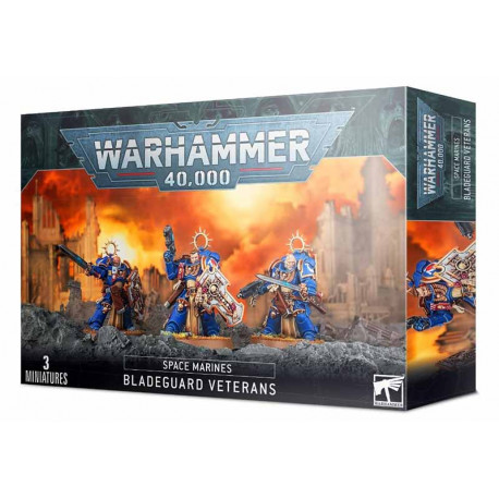 Space Marines: Veteran Bladekeepers.