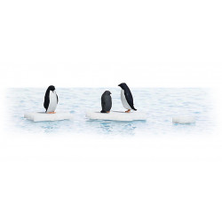 Pingüinos sobre hielo.