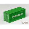 Contenedor 20' DV ''EVERGREEN''.