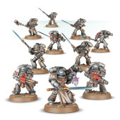 Grey Knights Strike Squad.