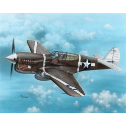 P-40F Warhawk "Guadalcanal Hawks".