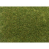 Wild Grass XL, medium green.