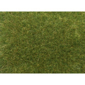 Wild Grass XL, medium green.